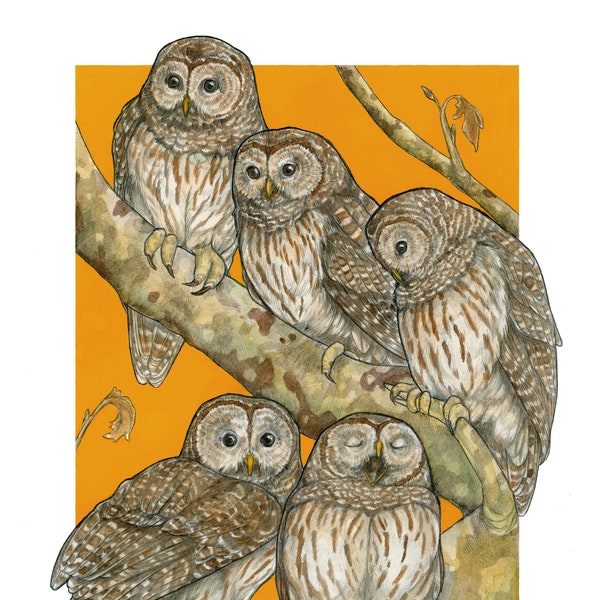 A Parliament of Owls - Archival Print