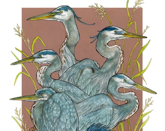A Siege of Herons - Archival Print