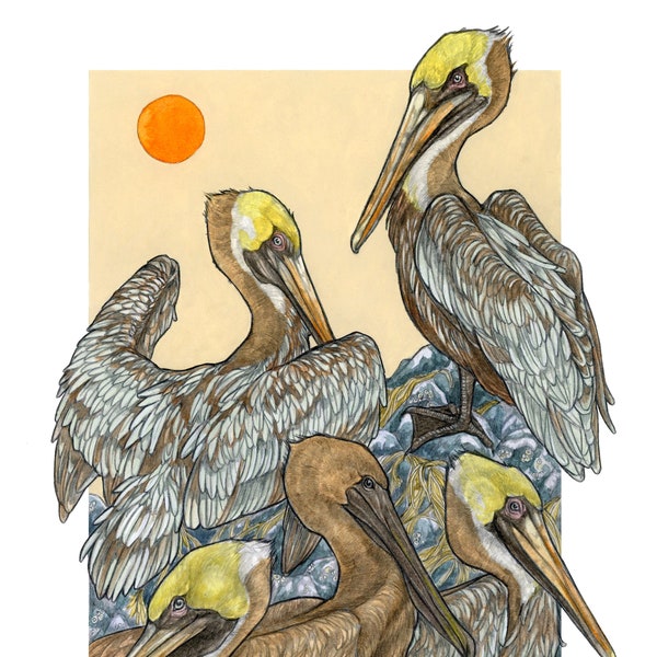 A Scoop of Pelicans - Archival Print