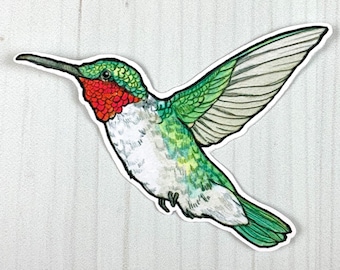 Ruby Throated Hummingbird Vinyl Sticker