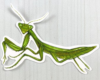 Praying Mantis Matte Vinyl Sticker