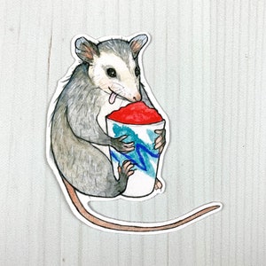 Opossum Water Ice Vinyl Sticker