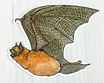 Little Brown Bat Vinyl Sticker