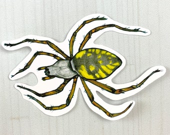 Yellow Garden Spider  Matte Vinyl Sticker