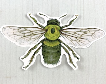 Eastern Carpenter Bee Vinyl Sticker