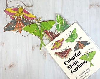 Colorful Moth Illustrated Garland