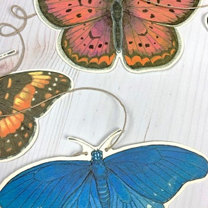 Western U.S. Native Butterfly Illustrated Garland image 4