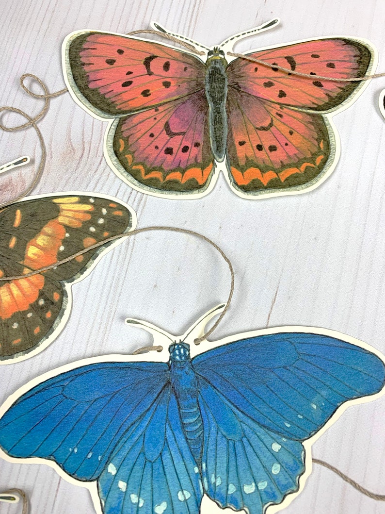 Western U.S. Native Butterfly Illustrated Garland image 4