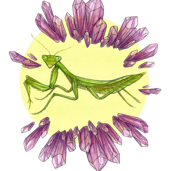 Mantis Prayer - Carolina Praying Mantis and Amethyst Crystals - 8x10 Archival Print