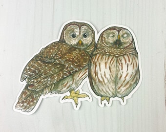 May include: Two brown and white owls with closed eyes, one owl is looking to the left and the other is looking to the right.