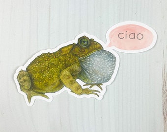 Toad Ciao Matte Vinyl Sticker