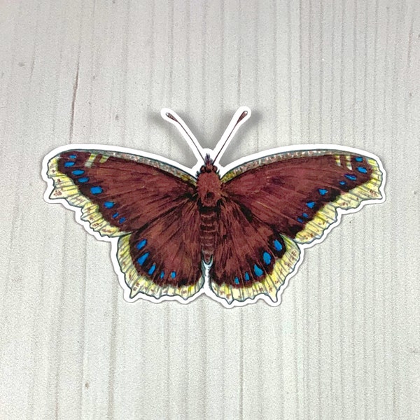 Mourning Cloak Butterfly Vinyl Sticker