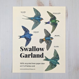 Swallow Illustrated Garland image 3