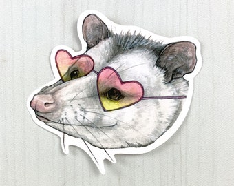 Opossum Sunglasses Matte Vinyl Sticker