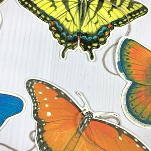 Western U.S. Native Butterfly Illustrated Garland image 6