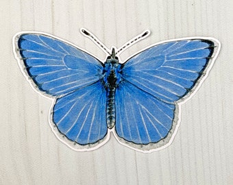 Spring Azure Butterfly Matte Vinyl Sticker