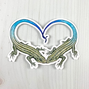 May include: Two blue-tailed skinks with striped bodies are curled into a heart shape. The skinks are facing each other with their tails intertwined.