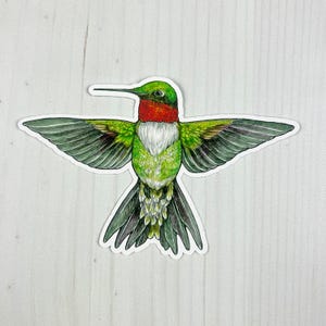 May include: A sticker featuring a detailed illustration of a hummingbird with outstretched wings. The bird has a green head, a red throat, and a white chest. Its wings are a mix of green and gray, and the tail feathers are dark green. The sticker is on a white background.