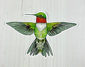 Ruby-throated Hummingbird with wings outstretched Matte Vinyl Sticker