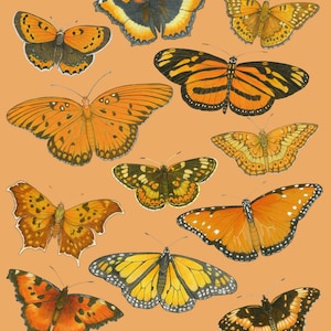 Orange Flutter - 8x10 Archival Print