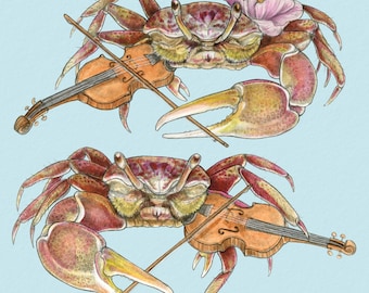 Fiddler Crabs -  8x8 " Archival Print