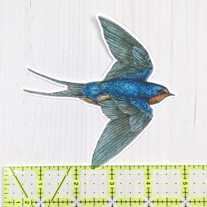 May include: A blue and brown swallow bird with a long tail, flying with its wings spread out. The bird is depicted in a watercolor style.