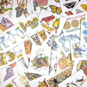 May include: A collection of colorful illustrated greeting cards featuring various animals, including a hummingbird, a butterfly, a squirrel, a penguin, an owl, a cat, a rabbit, a deer, an alpaca, a possum, a bald eagle, and a wren. The cards have a variety of backgrounds, including flowers, snowflakes, and a donut. The cards also feature text, such as "Goodwill to" and "Zelles on Earth".