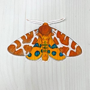 Garden Tiger Moth Matte Vinyl Sticker