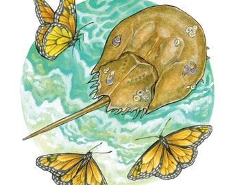 At the Shore - Horseshoe Crab and Monarch Butterfly artwork  -  8x8 " Archival Print