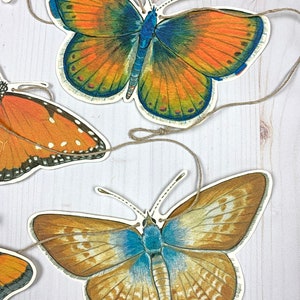 Western U.S. Native Butterfly Illustrated Garland image 5