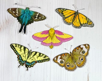 Butterfly (version 2) - Vinyl Decal Sticker - 11.75 x 9 - Skipper Moth  Tattoo - Minglewood Trading