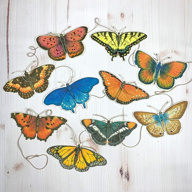 Western U.S. Native Butterfly Illustrated Garland image 2