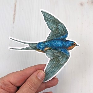 May include: A blue and brown swallow bird sticker with a white outline. The bird is in flight with its wings spread out.