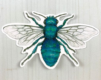 Blue Orchard Mason Bee Vinyl Sticker