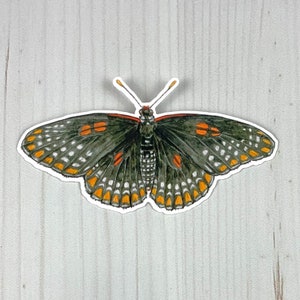 May include: A black and orange butterfly sticker with white spots. The butterfly has a dark brown body and orange and red markings on its wings.