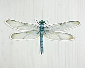 Blue Dasher Dragonfly Matte Vinyl Sticker