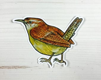 Carolina Wren Matte Vinyl Sticker