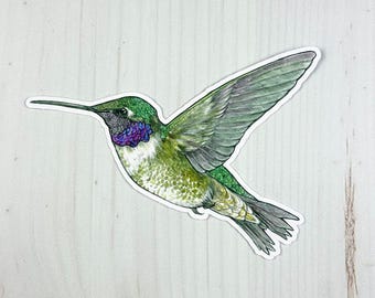 Black-chinned Hummingbird Matte Vinyl Sticker
