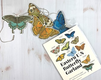 Eastern U.S. Native Butterfly Illustrated Garland