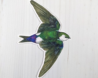 Violet-Green Swallow Matte Vinyl Sticker