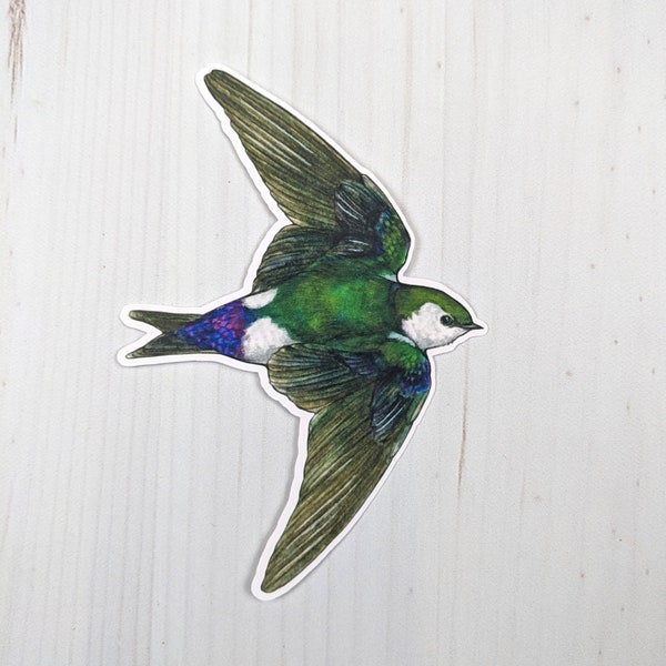 Violet-Green Swallow Matte Vinyl Sticker