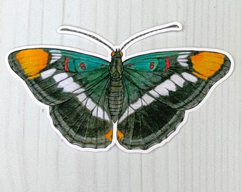 California Sister Butterfly Matte Vinyl Sticker