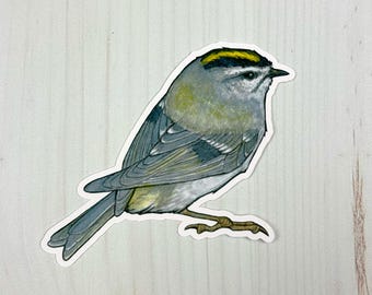Golden Crowned Kinglet Matte Vinyl Sticker