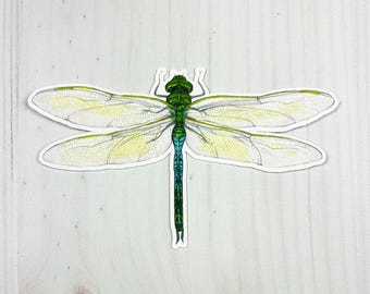 Common Green Darner Dragonfly Matte Vinyl Sticker