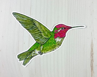 Anna's Hummingbird Matte Vinyl Sticker