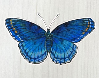 Red Spotted Purple Butterfly Matte Vinyl Sticker