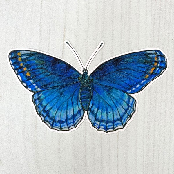 Red Spotted Purple Butterfly Matte Vinyl Sticker