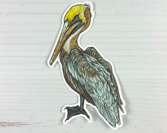 Brown Pelican Matte Vinyl Sticker