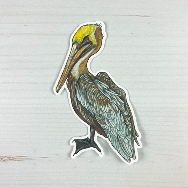 Brown Pelican Matte Vinyl Sticker