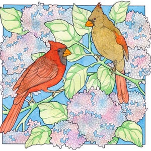 Cardinals and Hydrangeas - Archival Print
